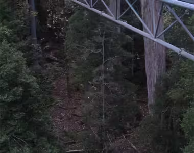 Air Walk
