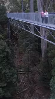 Natasha Munro and Lisa McClintock on the Air Walk