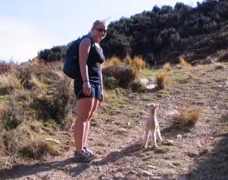 Dars standing beside a cute little lamb