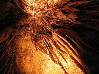 View of the roof of the Hastings Cave