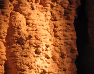 Hastings Caves