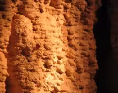 Hastings Caves