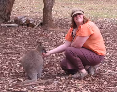 Tasmanian Wildlife