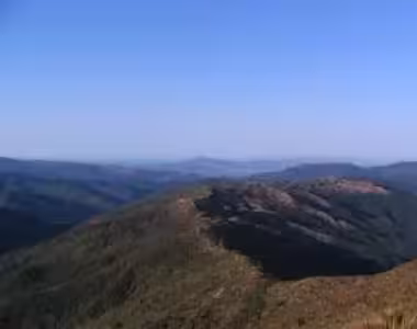 Silverpeaks tramp