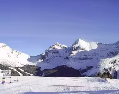 Sunshine ski field