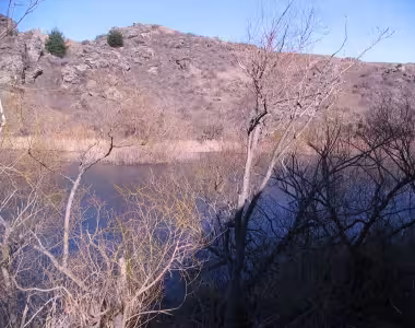 Aardwolfs on/in Manorburn dam