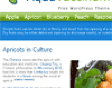 Aqua Vaccinium WordPress theme