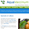 Aqua Vaccinium WordPress theme