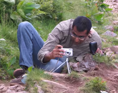 Photos in the Blackforest