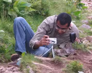 Photos in the Blackforest