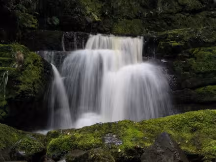 Another small waterfall near McLeans falls