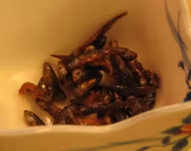 Japanese delicacies