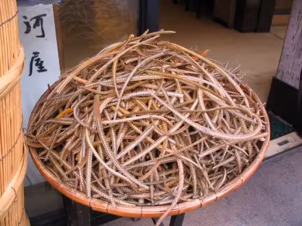 Eel spines, apparently they're a chewey snack!?