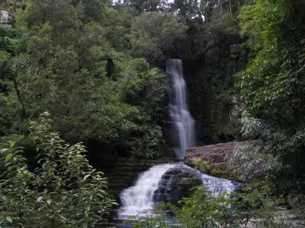 Shot of McLean falls from the track