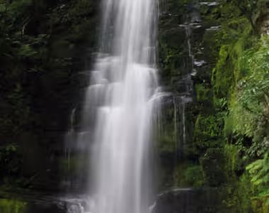 McLean falls