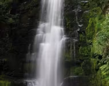 McLean falls