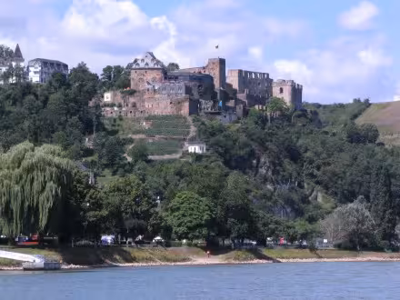 rhein_randomcastle2