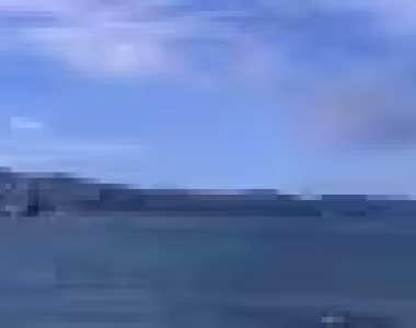 Wellington