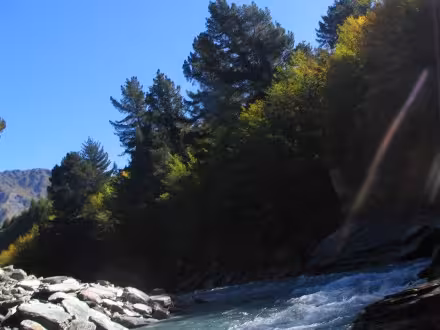 I took my camera onboard