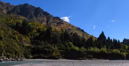 Panorama of the hillside beside the Shotover river