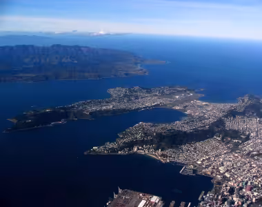 Wellington City from the air