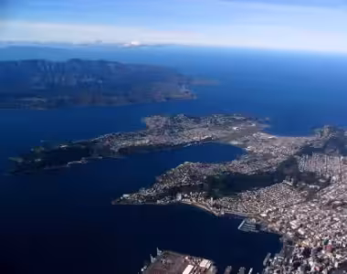 Wellington City from the air