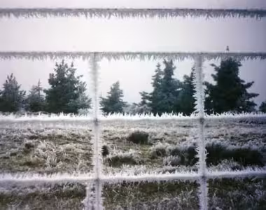 Hoar frost in Central Otago