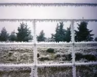 Hoar frost in Central Otago
