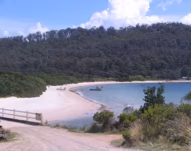 More from Cockles Creek