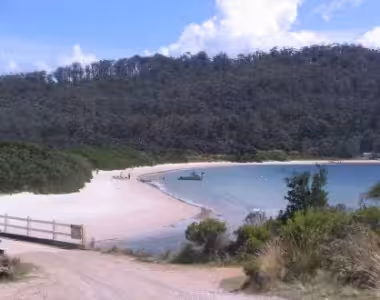More from Cockles Creek