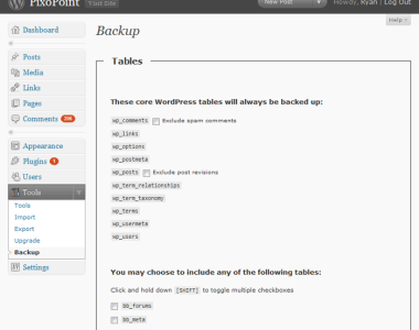 WP DB backup