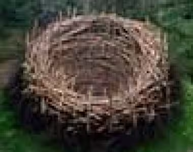 PixoPoint List Nested Pages plugin