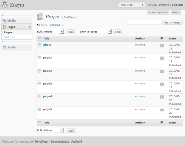 Simple CMS plugin update