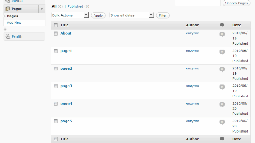 Simple CMS plugin update