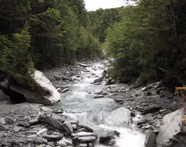 Matukituki river