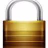 Using SSL in WordPress admin