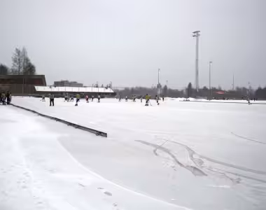 Bandy