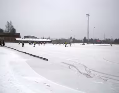 Bandy