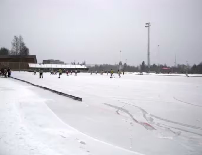Bandy