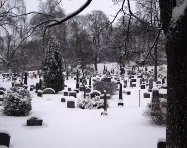 Cemetery in Oslo