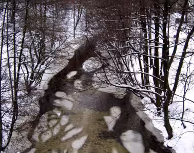 Frozen stream in Oslo