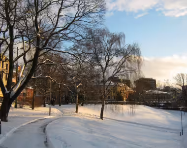 Sun in Oslo