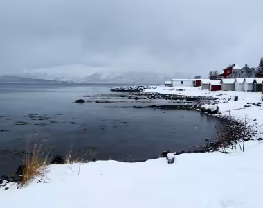 Arctic ocean