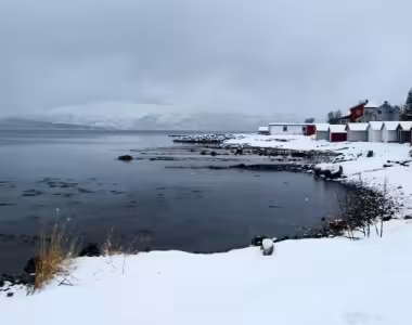 Arctic ocean