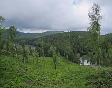 Bjørnsjøen