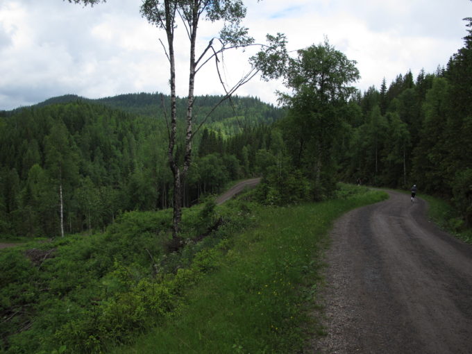 Road leading to Bjørnsjøen