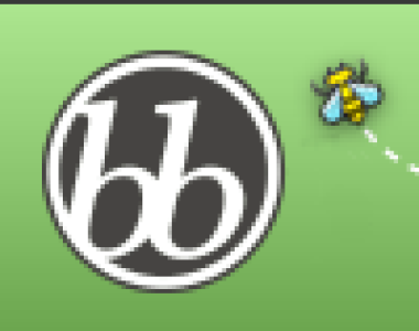 bb/BuddyPress & multisite spam