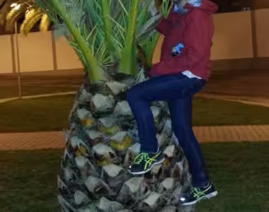 Giant pineapple