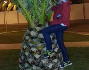 Giant pineapple