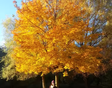 Autumn colours with Marte and Ingvild